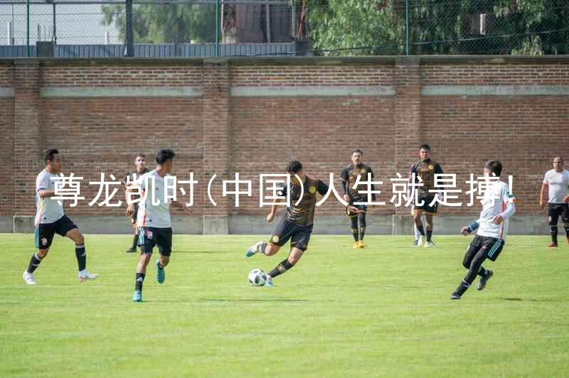 尊龙凯时(中国)人生就是搏!